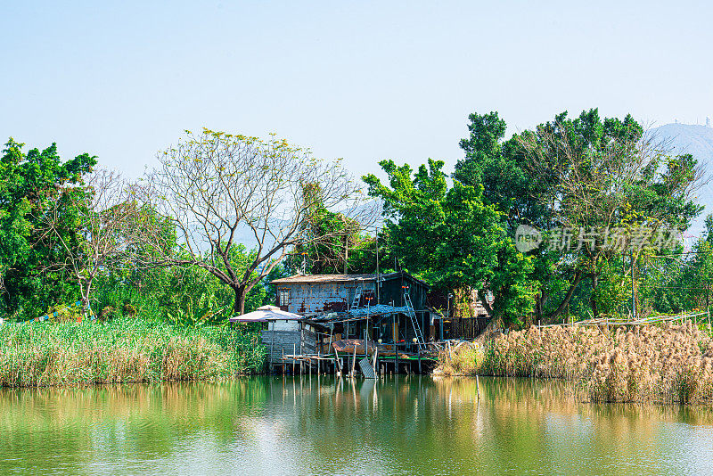 南生围的Stilt house in Nam Sang Wai